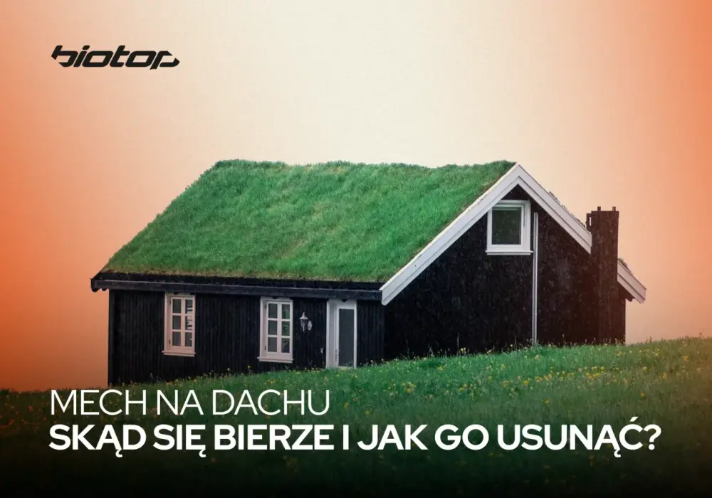 Mech na dachu - Jak bezpiecznie go usunąć i zapobiec nawrotom?