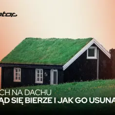 Zielony mech porasta dach małego, czarnego domku. Tekst informuje o pochodzeniu i usuwaniu mchu.