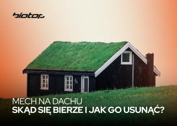 Mech na dachu - Jak bezpiecznie go usunąć i zapobiec nawrotom?